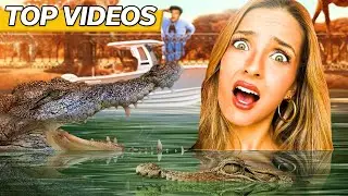 Alexa's Fearless Adventures | Alexa Rivera