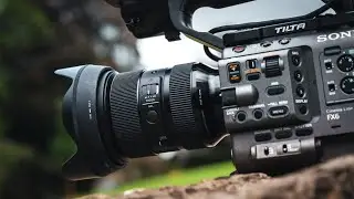 Sigma 24-70mm F2.8 DG DN Art Review | The Only Lens You Really Need!