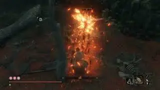 Elder monkey. Fight with style.
