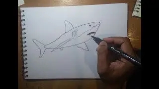 #9 How I draw a shark or how to draw a shark