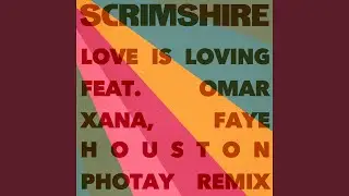 Love Is Loving (feat. Faye Houston, Omar, Photay) (Photay Remix)