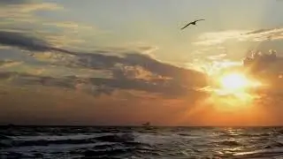 Очень сильное видео!