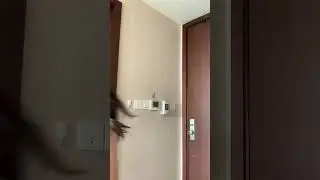 Rata2 main di hotel semua 