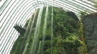 Garden by the Bay | Ivanka Singh | #shorts #ytshorts #trending #travel #singapore #gardenbythebay