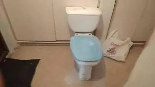 Хотите ремонт санузлов? Будьте готовы к такому...