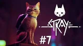 Секреты Дока | Stray #7