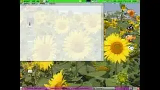ubuntu codeblocks & opencv