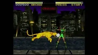 Killer instinct | SNES | Orchid