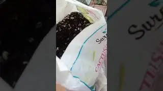 Succulent Potting Mix