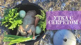 Festive duck with a secret in a cauldron over a fire