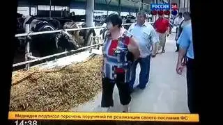 Кущевка. Бандитское иго.