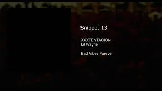 Snippet 13
