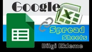 Google E-Tablolar (SpreadSheets) | E-tabloyu düzenleme ve bilgi ekleme