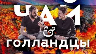 Как голландцы реагируют на правильный чай. Мойчай Амстердам
