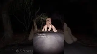 Tickle Monster