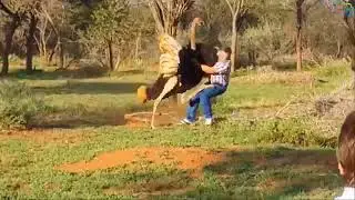 Ужас