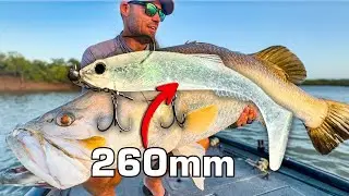 Casting (!!!!) GIANT lures for Saltwater River Beasts... 🦖
