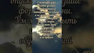 Бхагавад Гита: кто ваш ум - друг или враг?