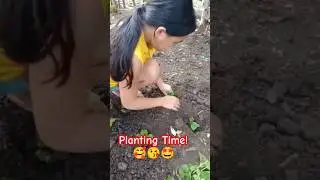 #plants