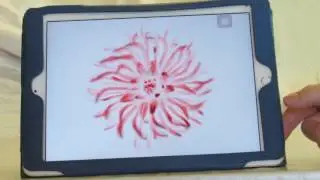How to use Magnify and Zoom on an iPad