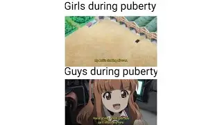 Girls und Panzer Memes 1