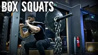 Box Squat | سكوات صندوق | كيف تقوي الحوض عندك