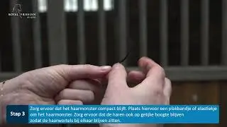 Instructies voor haarmonsterafname bij paarden thuis