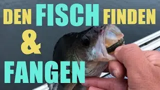 Fisch finden, fangen & Kescher reinigen!
