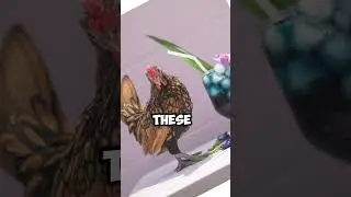 The Stunning Sebright: A Look At These Beautiful Chickens!  #sebright #sebrightchicken