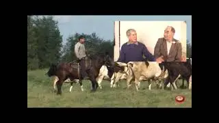 ТОРФ 2
