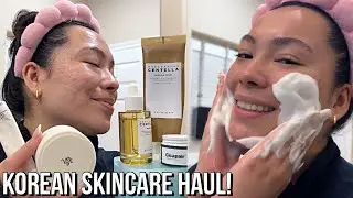 New Skincare First Impressions! Mediheal, Skin 1004, Beauty of Joseon, + more