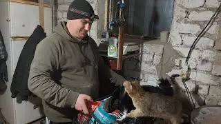 Вкусняшки для всех)))) Она снова в охоте.
