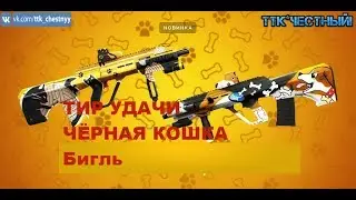 Point Blank ТИР УДАЧИ ЧЁРНАЯ КОШКА БИГЛЬ #тткчестный