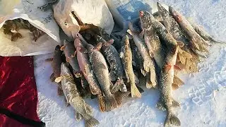 FISHING IN TURGAY, TORGAY! PIKE ARE ATTACHED TO SUMMER SPOONS AND FISHING POOLS WITH LIVE BAIT. F...
