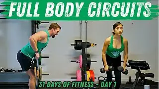 Full Body Circuit Workout at Home - Dumbbells or Bands
