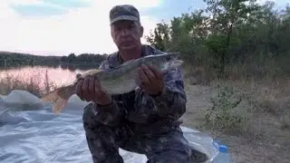 Река Дон . Рыбалка в день рыбака . Кому-то густо , а кому и ...