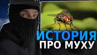 ФЕОФИЛОВ РАССКАЗАЛ ИНТЕРЕСНУЮ ИСТОРИЮ ПРО МУХУ 😮
