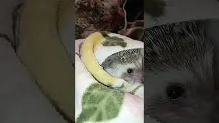 Доброе утро!!