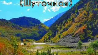 Цахурская песня (Шуточная). Дагестанские песни 2020г.