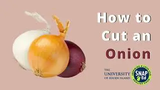 How to Cut an Onion