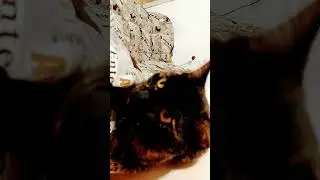 моё солнышко❤️‍🩹