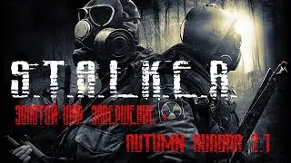 Все по максимуму S.T.A.L.K.E.R. Золотой Шар. Завершение + Autumn Aurora 2.1 стрим #3