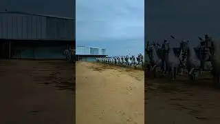 20 июня 2023 г.