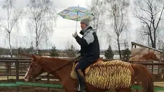 Роман Малышев