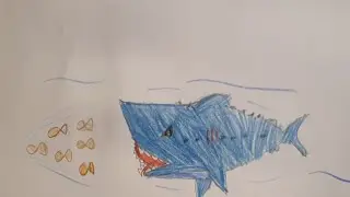 desenho de tubarão - megalodon