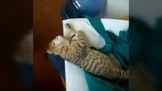 День  рождения сони.  Ей четыре месяца