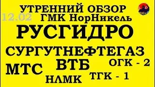 ММВБ, НЛМК,ГМК,ВТБ,ОГК-2,ТГК-1,Русгидро,МТС,Сургутнефтегаз преф.