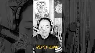 #sin_tu_amor #ecuadorandariego #songsmusic #😢😢😥😥💔💔🍸🍷🍺🥀🥀🥀