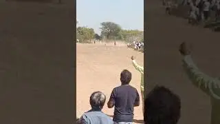 lalawada horse race: लालावाङा horse race: ।अकेली घोङी ने दौङ लगाई।
