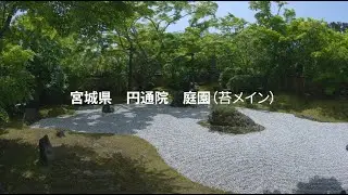 宮城県　円通院　庭園（苔メイン）